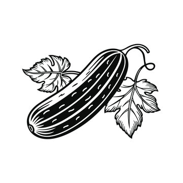 black and white cucumber with leaves clip art preview