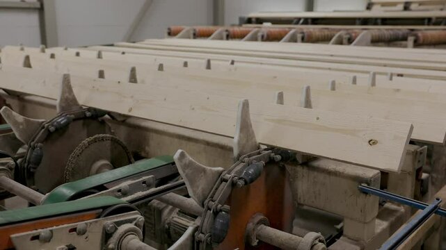 Wooden planks moving through an industrial roller conveyor system at a sawmill or timber processing plant, showing part of the automated sorting and transport line