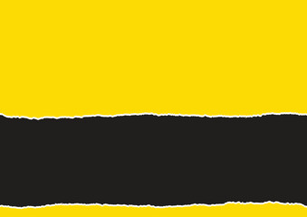 Creative paper tear effect background design vector