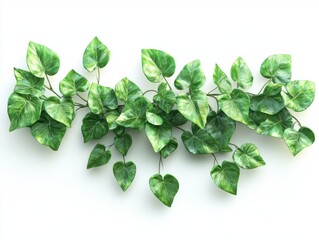 Fototapeta premium Detailed close-up of a green plant with lush leaves showcasing the beauty and complexity of nature's designs