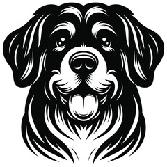 black and white dog