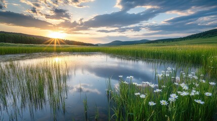 Fototapeta premium Beautiful golden sunset reflecting on a still pond in a meadow
