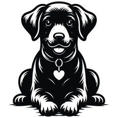 black labrador puppy