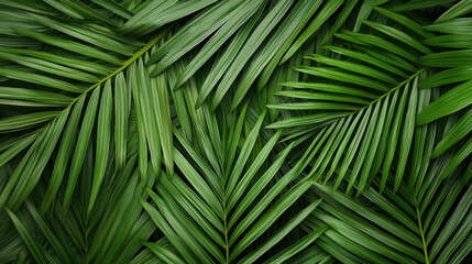 Lush tropical green leaves create vibrant background perfect for nature themes