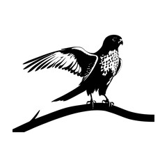 A black and white vector silhouette of an elegant kestrel soaring with its wings fully spread on a white background