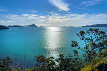 Coromandel Peninsula, New Zealand. Coastal view of many small islands. Motukakarikitahi (Rat),...