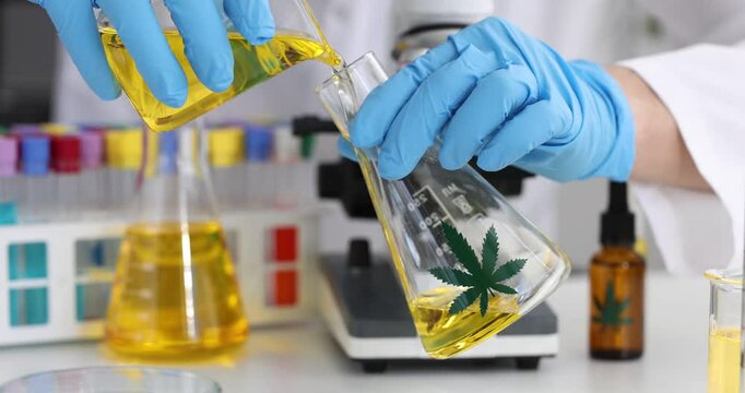 Scientist pours oil into glass flask with cannabis leaf print in laboratory. Pharmacist conducts research of hemp medical purposes with lab equipment