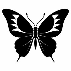 butterfly vector illustration