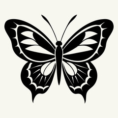 butterfly vector illustration