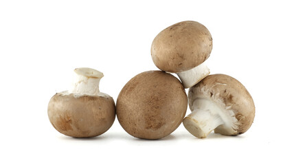 A small group of four fresh brown mushrooms are piled together on a bright white background.