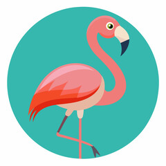 flamingo vector illustration