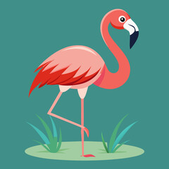 pink flamingo bird