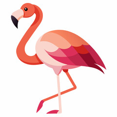 flamingo vector illustration