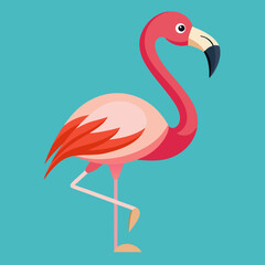 flamingo vector illustration
