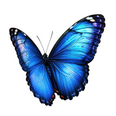 Obraz premium Vibrant Blue Butterfly PNG on transparent background