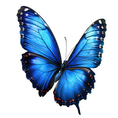 Fototapeta premium Vibrant Blue Butterfly PNG on transparent background