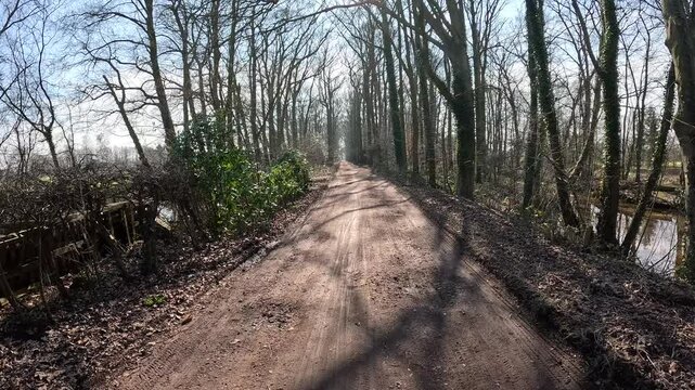 Shot walking through forest with trees.