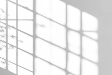 shadow overlay effects of realistic window and tree branch shadow with light blur on transparent background,Summer sunlight and shadow overlay effect