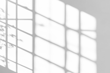 shadow overlay effects of realistic window and tree branch shadow with light blur on transparent background,Summer sunlight and shadow overlay effect