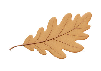 Dried Oak Leaf with Curled Edges and Visible Veins