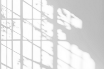 shadow overlay effects of realistic window and tree branch shadow with light blur on transparent background,Summer sunlight and shadow overlay effect