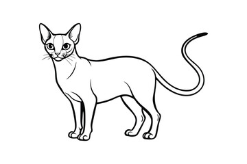 Line art vector illustration of a Siamese cat standing with its slender body.eps