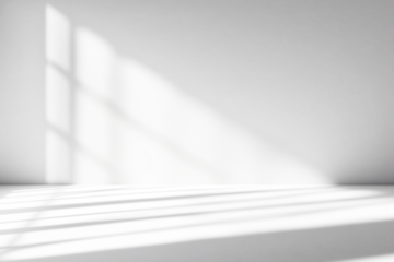 shadow overlay effects of realistic window shadow with light blur on transparent background,Summer sunlight and shadow overlay effect