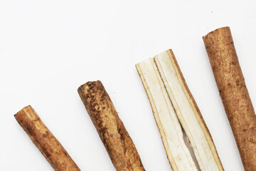 Burdock Root (Gobo) on white background.
