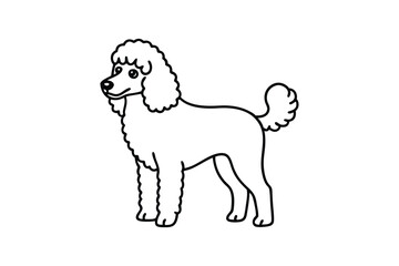 Line art vector illustration of a Poodle with a curly coat.eps