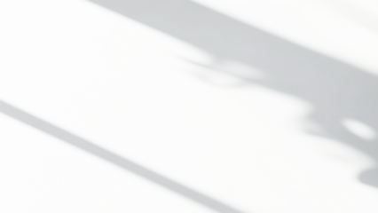 shadow overlay effects of realistic window and tree branch shadow with light blur on transparent background,Summer sunlight and shadow overlay effect