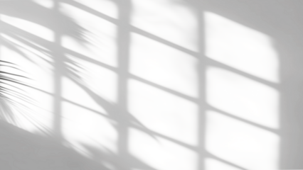 shadow overlay effects of realistic window and tree branch shadow with light blur on transparent background,Summer sunlight and shadow overlay effect