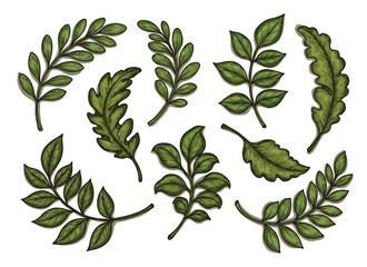 緑葉 手描き 水彩風 イラスト素材