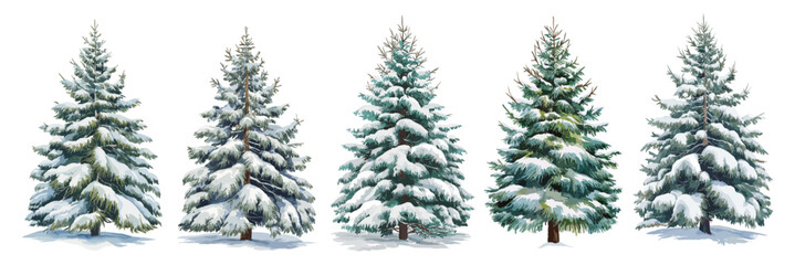 Set of Christmas tree covered by snow. Watercolor style vector illustrations