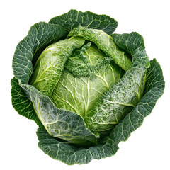Fototapeta premium A vibrant green cabbage sits on a white background, highlighting its fresh appearance and intricate leaf patterns