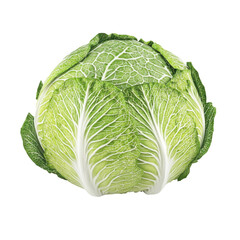 Obraz premium Vibrant green cabbage is isolated against a plain white background, highlighting its crisp leaves and round form, perfect for culinary use