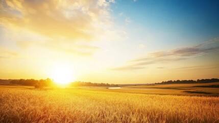 A stunning sunset paints the sky with vibrant colors as a winding river flows through golden fields, capturing the tranquil beauty of a rural landscape