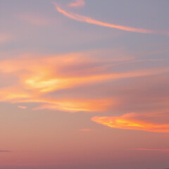 Fototapeta premium sunset in the sky