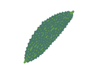 ゴーヤの手描きイラスト