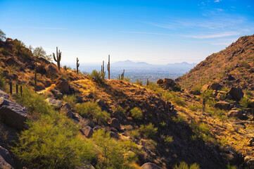 Desert landscape with cacti and rocky terrain along Pinnacle Peak Trail near Phoenix, Arizona, with...