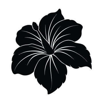 recommend clip art: hibiscus flower vector silhouette