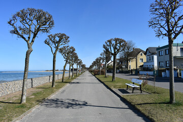 Park with trees. Asphalt alley along the seashore with trees. Seaside vacation. Travel. Sunny day.