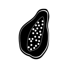 Fresh papaya sliced showing seeds on a bright white background