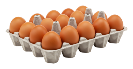 新鮮な卵一ダース 並んだ美しい卵