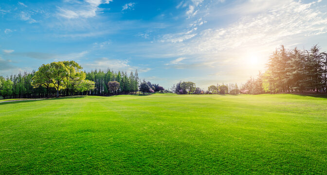 Vibrant green lawn and trees natural landscape in summer