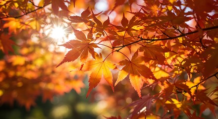 Fototapeta premium Autumn's Golden Embrace AI Generated