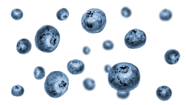 Splash blueberries in air. falling fruit isolated on transparent background.