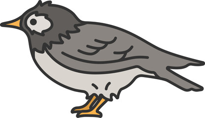 ムクドリ（線画カラー）のイラスト