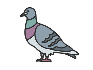 鳩（線画カラー）のイラスト