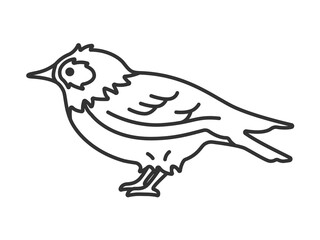 ムクドリ（線画）のイラスト