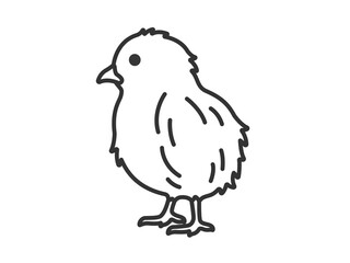 ヒヨコ（線画）のイラスト